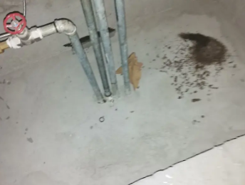 中宁卫生间测漏水价格明细